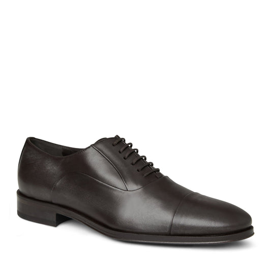 Bruno Magli Men Maioco Oxford Dark Brown