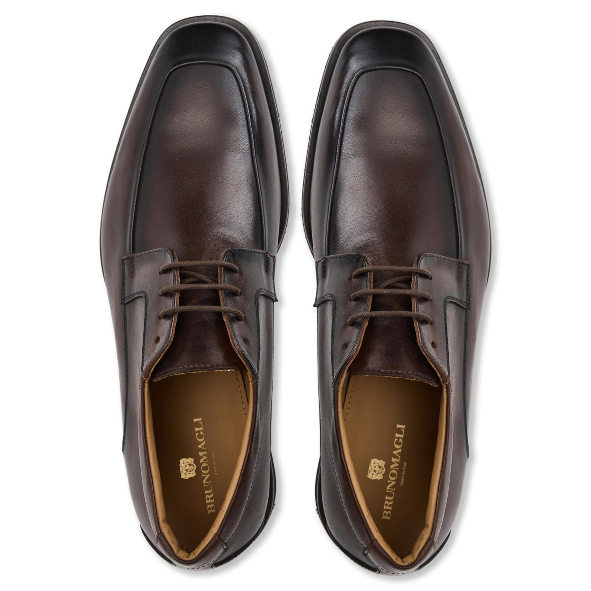 Bruno Magli Men RIMINI Derby Dark Brown Calf