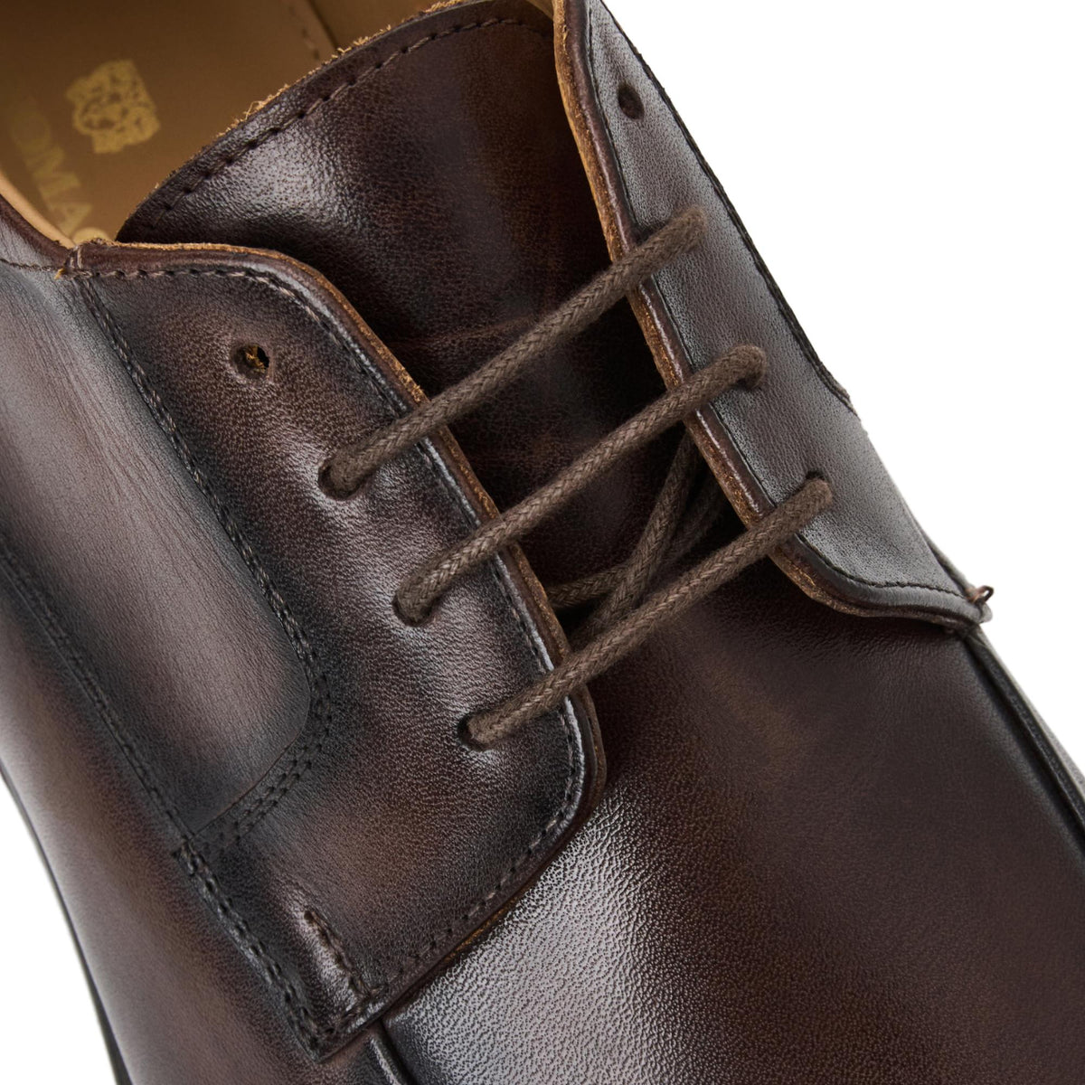 Bruno Magli Men RIMINI Derby Dark Brown Calf