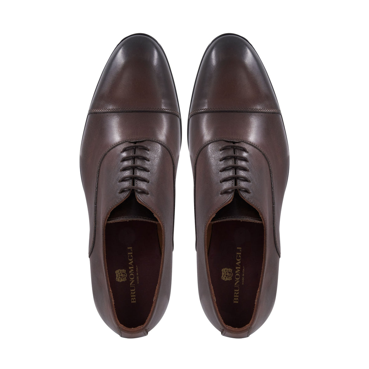 Bruno Magli Men Sergio Oxford Brown