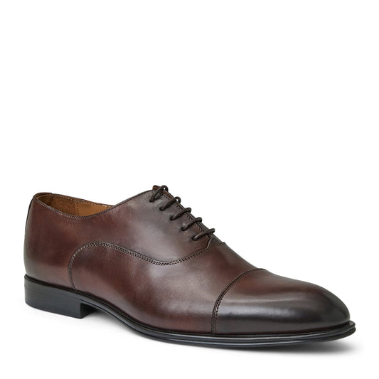 Bruno Magli Men Adriano Oxford Brown
