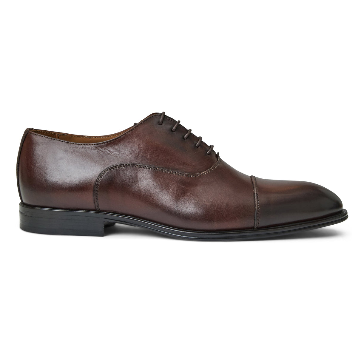 Bruno Magli Men Adriano Oxford Brown