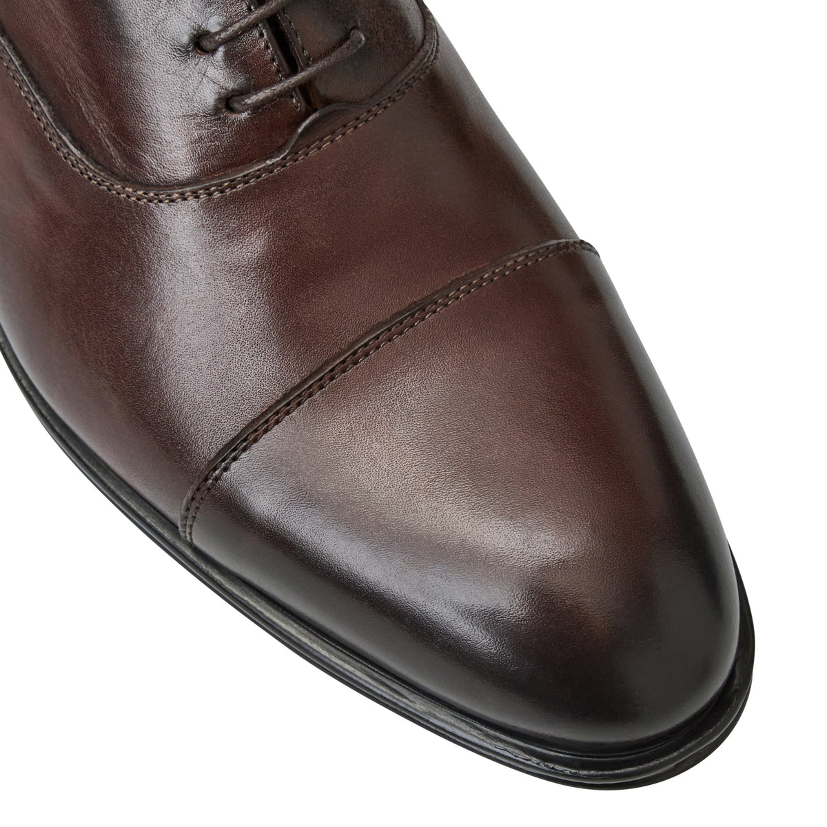Bruno Magli Men Adriano Oxford Brown