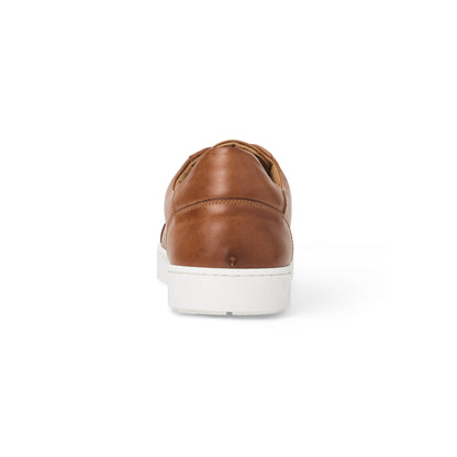 Bruno Magli Men DAMIANO sneaker Cognac Leather