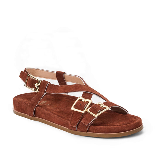Bruno Magli Women Gianna Brown Suede Brown Suede