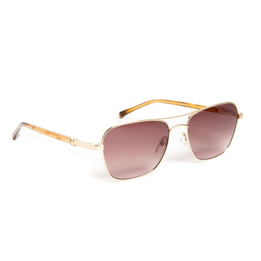 Bruno Magli Handbags & Accessories Playa Aviator Sunglasses - Gold Tortoise