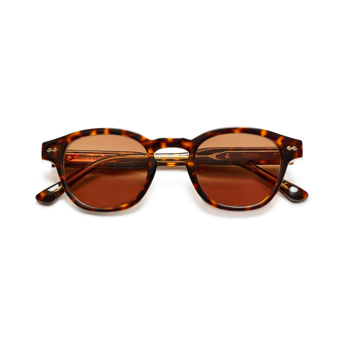Bruno Magli Handbags & Accessories Capri Sunglasses Tortoise